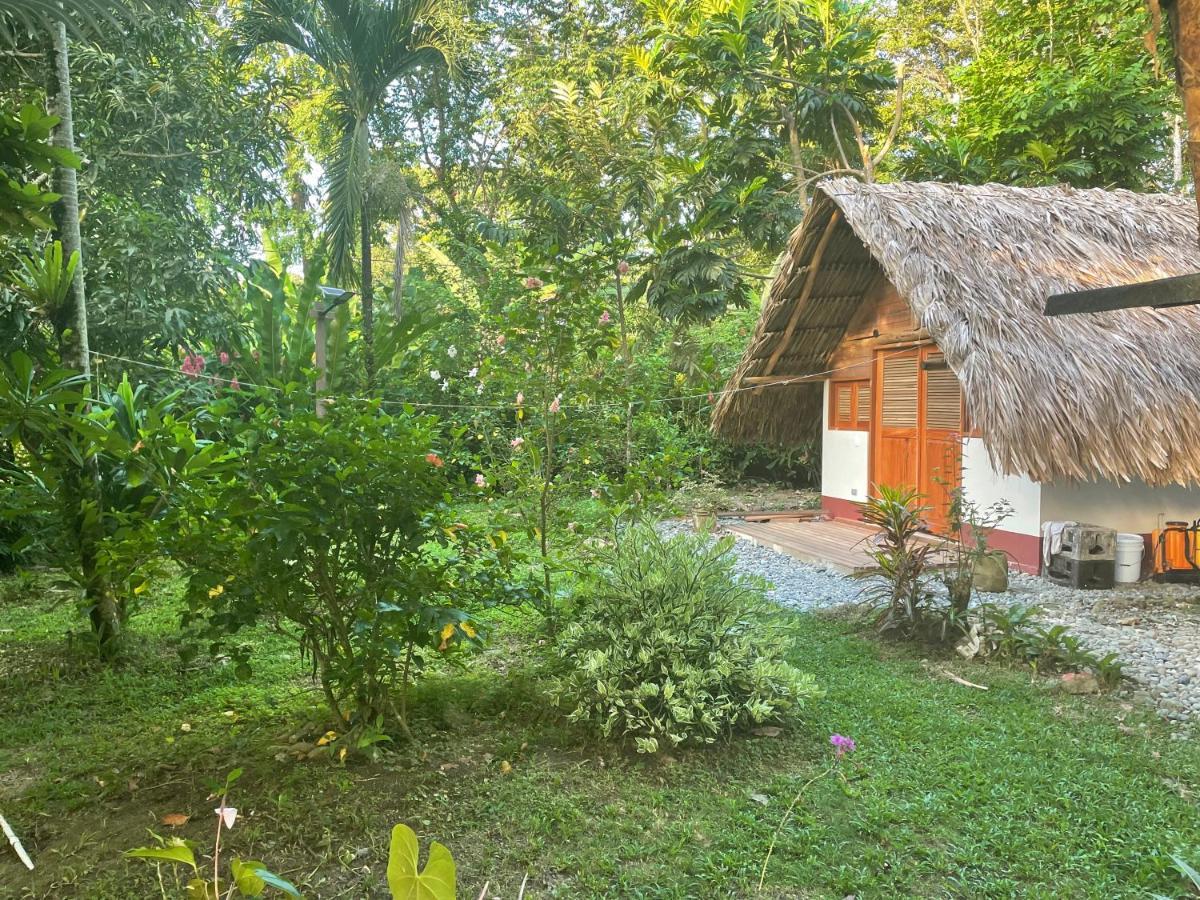 Cabanas Tucan Eco Hotel Capurganá Exteriör bild