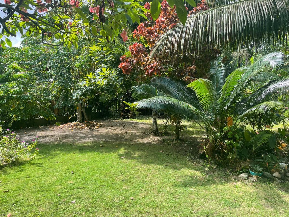 Cabanas Tucan Eco Hotel Capurganá Exteriör bild